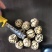 桐子果去皮30~35mm干