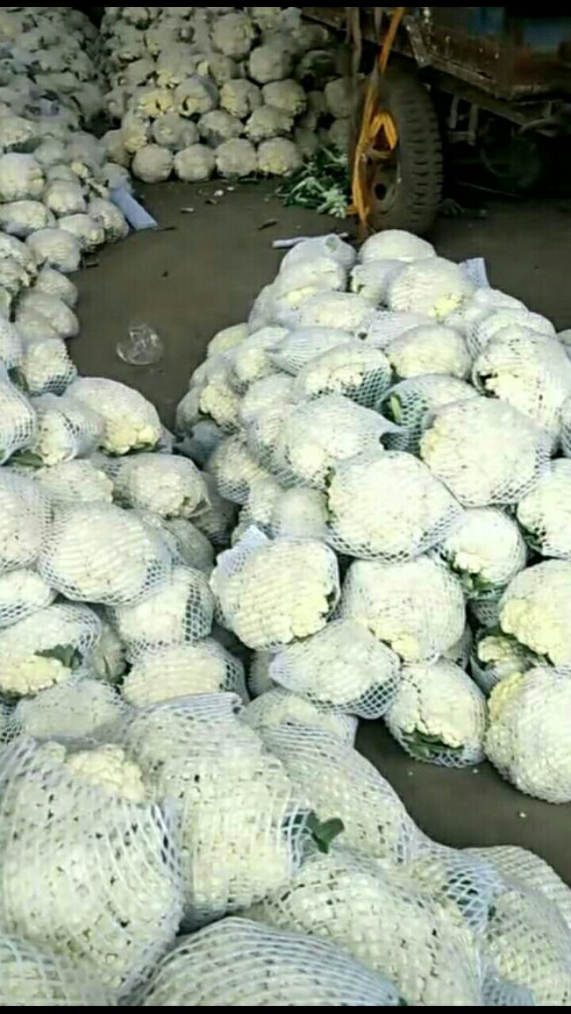 精品有机花