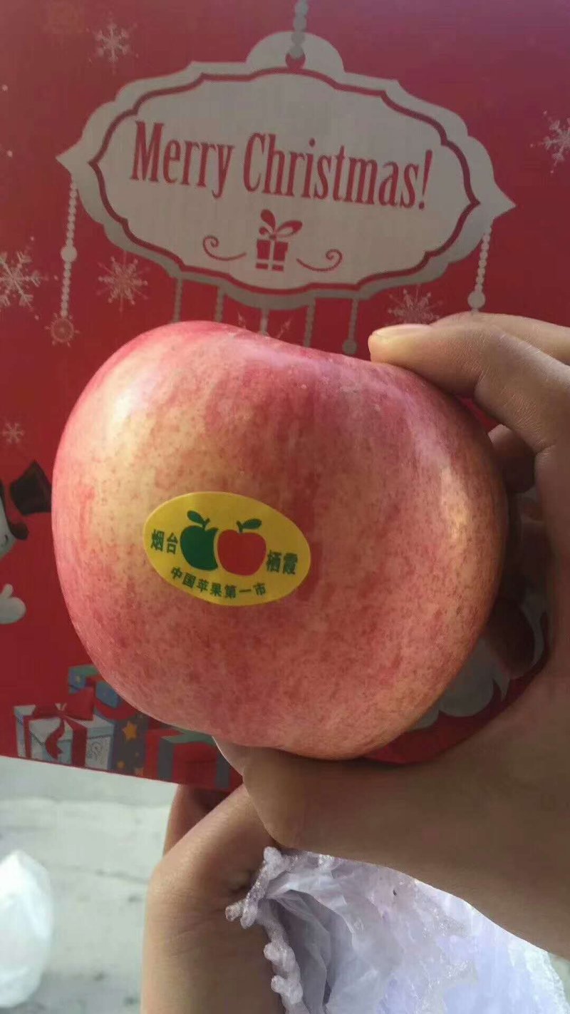精品红富士苹果产地大量供应价格便宜货源充足质量保证