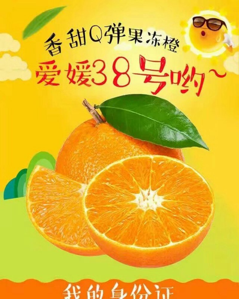 爱媛果冻橙新鲜水果一件代发平台供货快递物流