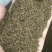 蒲公英种子