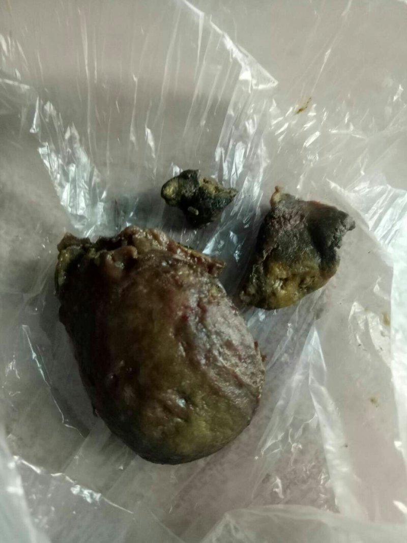 鸡宝出售