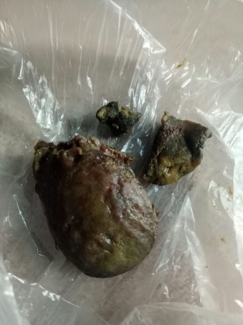 鸡宝出售