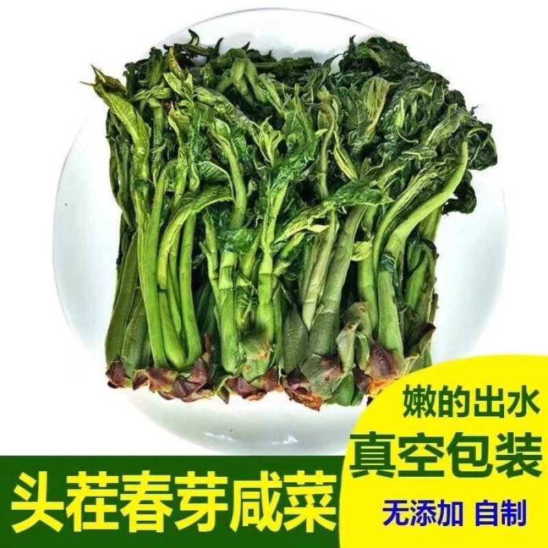 莱阳香椿芽新鲜头茬野生香椿咸菜头腌制泡菜榨菜小酱酸
