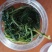 莱阳香椿芽新鲜头茬野生香椿咸菜头腌制泡菜榨菜小酱酸