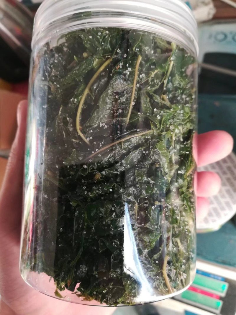 莱阳香椿芽新鲜头茬野生香椿咸菜头腌制泡菜榨菜小酱酸