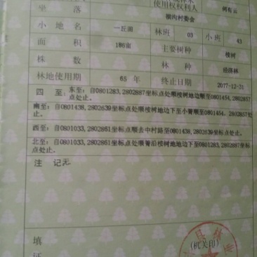 林地186亩