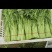 河北省任丘市蒿子秆上车价
