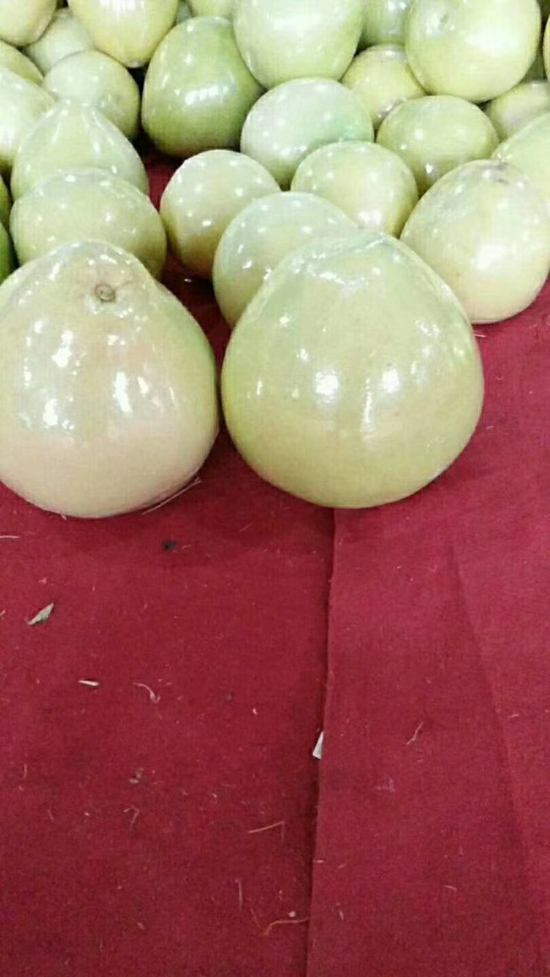 蜜柚一手货源个头大皮薄口感好