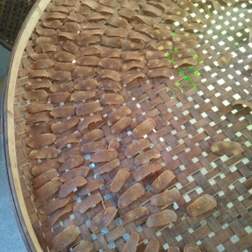 豆腐渣