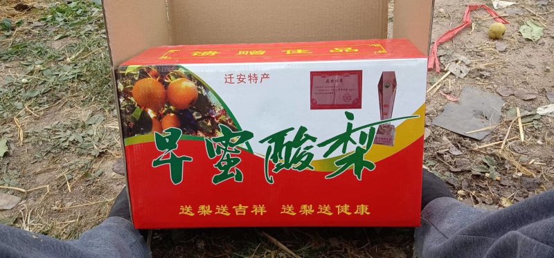 早密酸梨