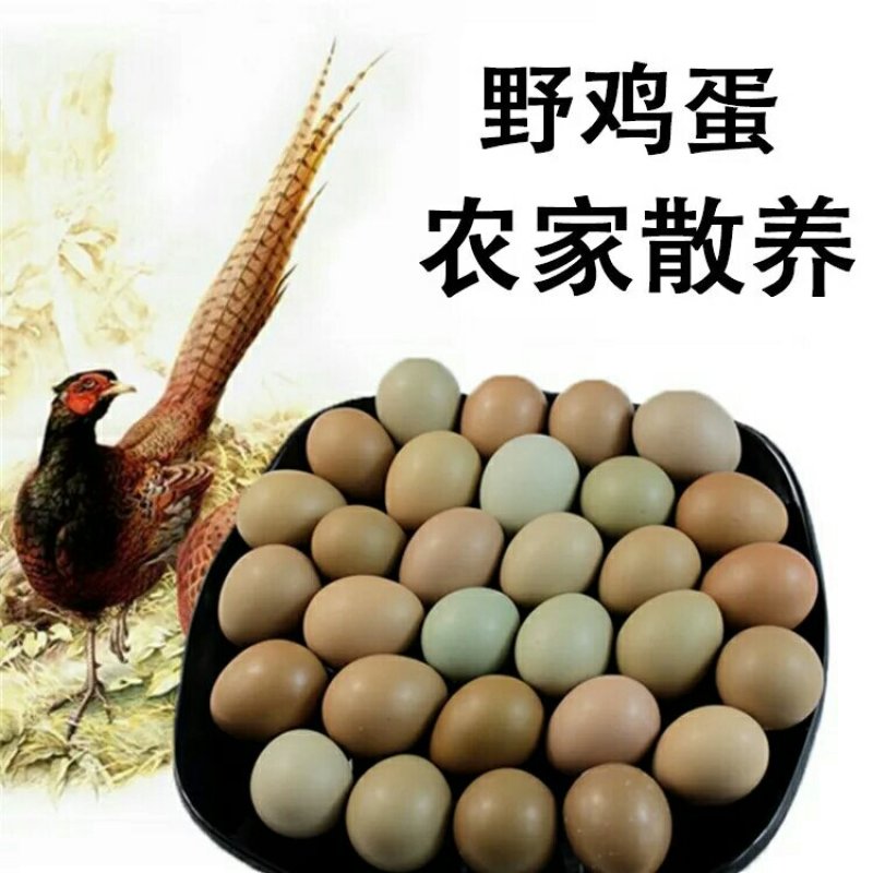 农家散养野鸡蛋，鸡蛋