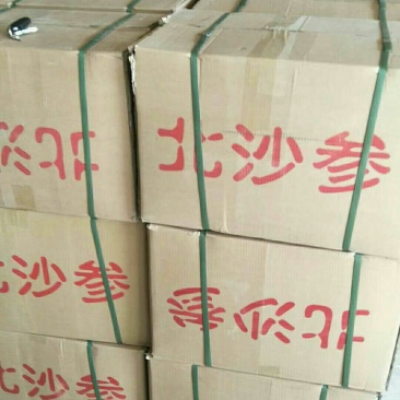 沙参