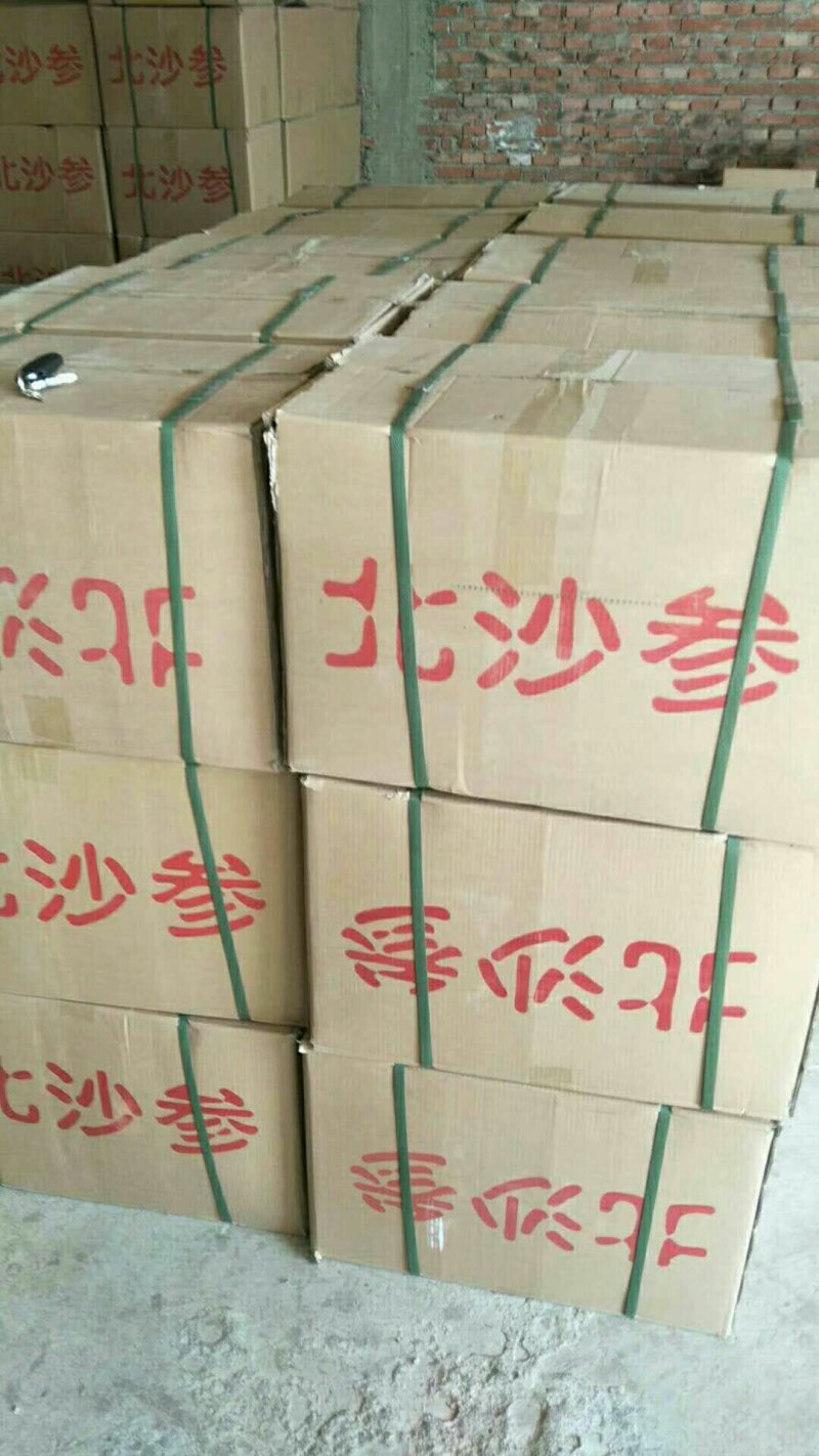 沙参
