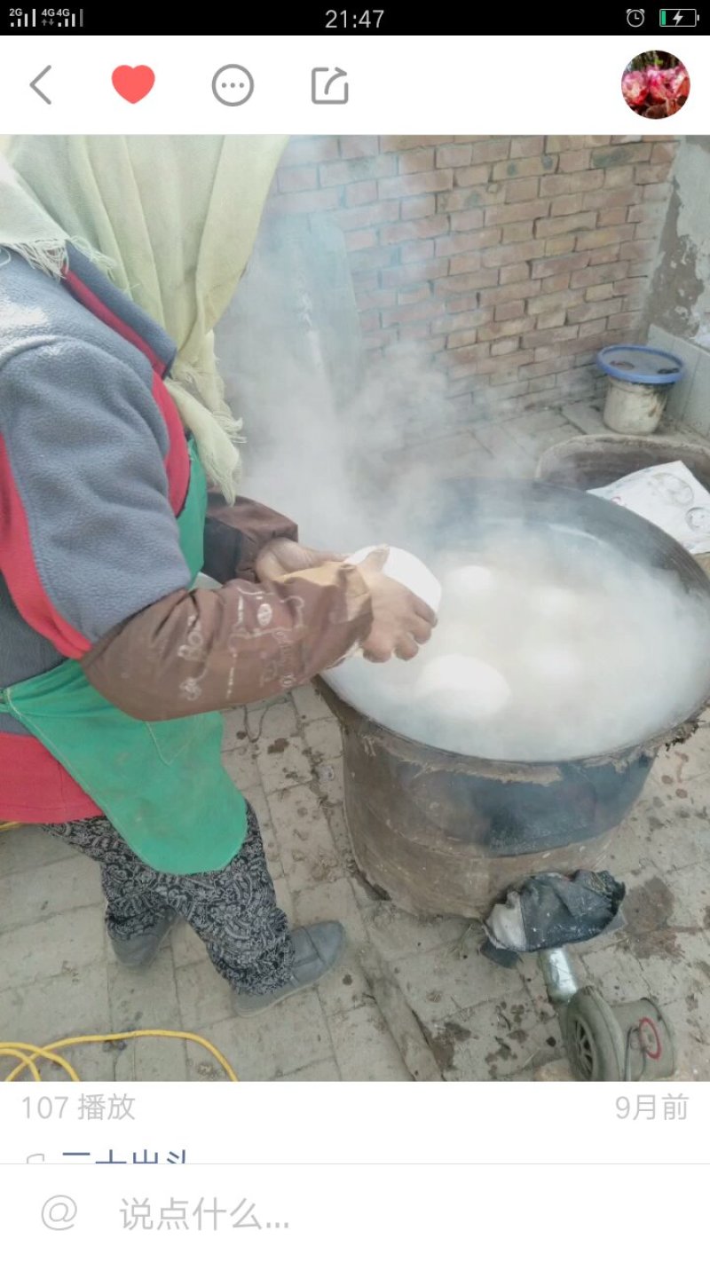 土豆粉条，粉皮