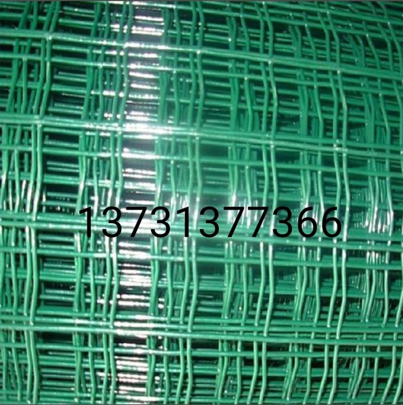 养殖用荷兰网