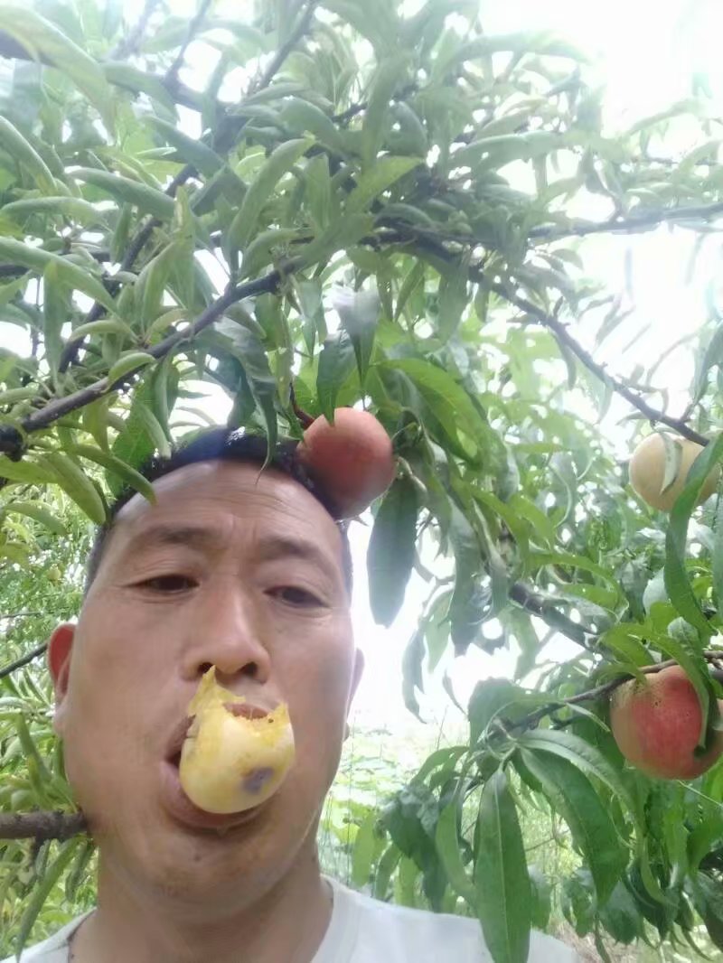 土地