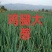 鸡腿大葱