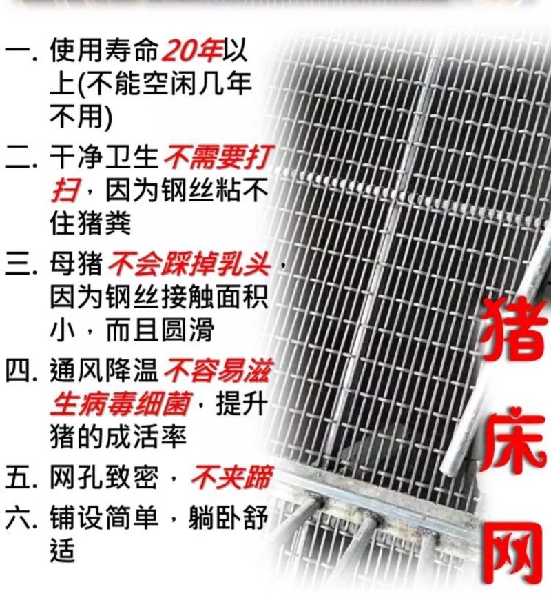 养猪网