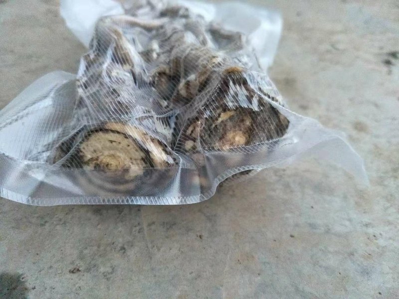 甘肃乡里娃的水洗鲜当归