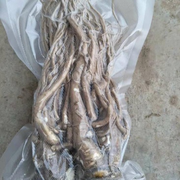 甘肃乡里娃的水洗鲜当归