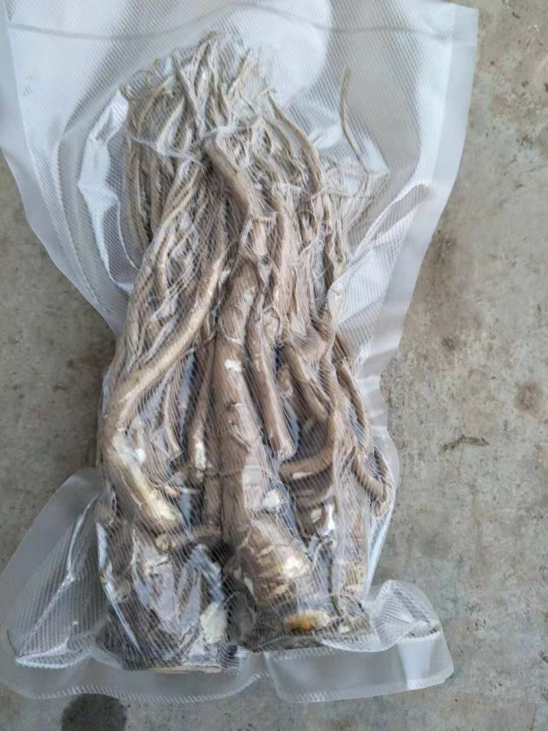 甘肃乡里娃的水洗鲜当归