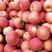 山东红富士苹果产地批发大量低价全国发货