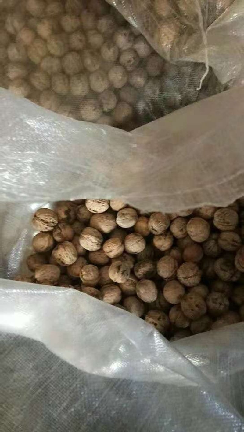 核桃，长年供货批发，价格实惠，货真价实，