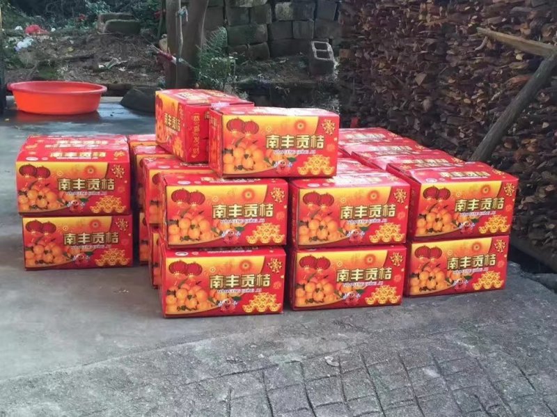 江西南丰密桔