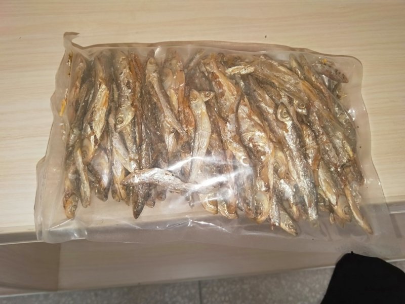 鱼干