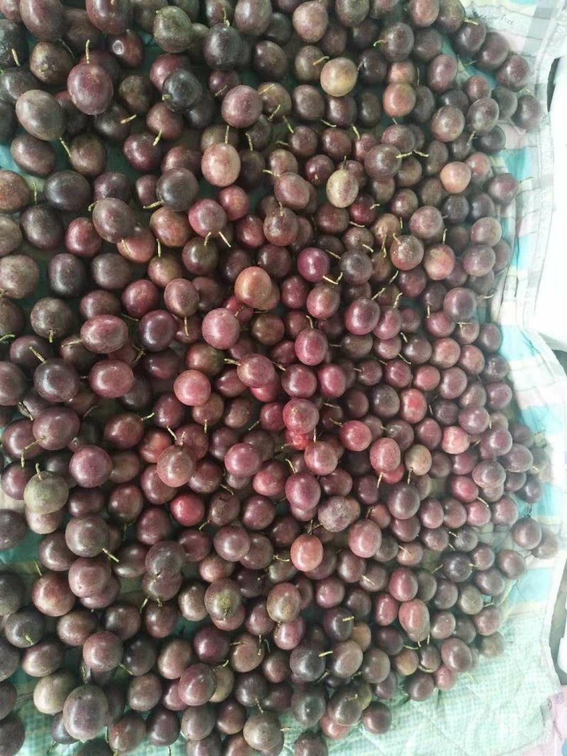 百香果，蜂蜜甜，芭乐香