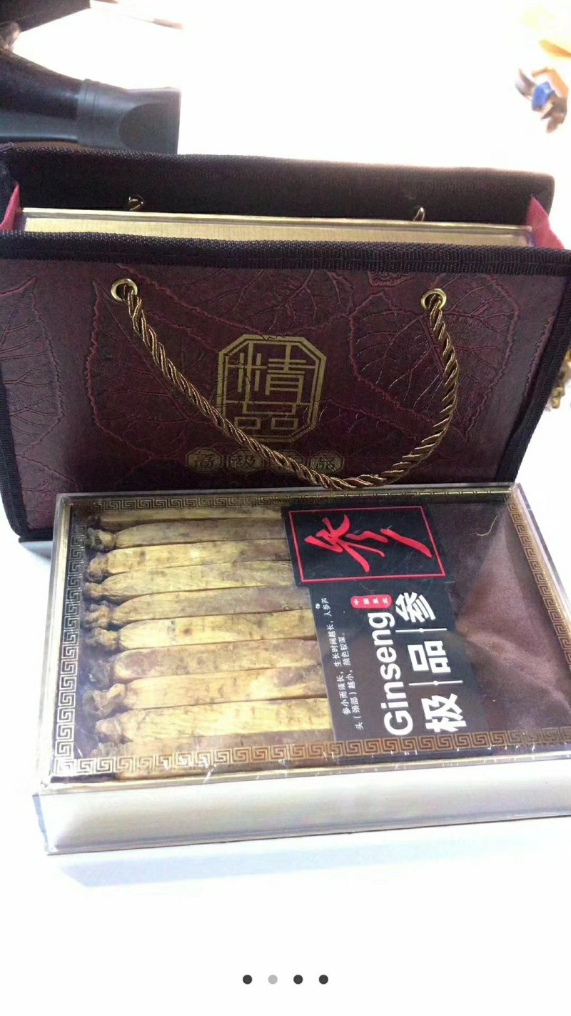 高丽参