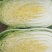 黄心白菜，形状和娃娃菜一样，就是比娃娃菜大一点