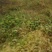 养殖种植用地
