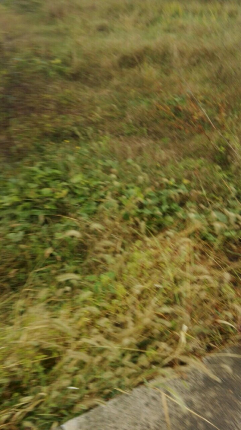 养殖种植用地