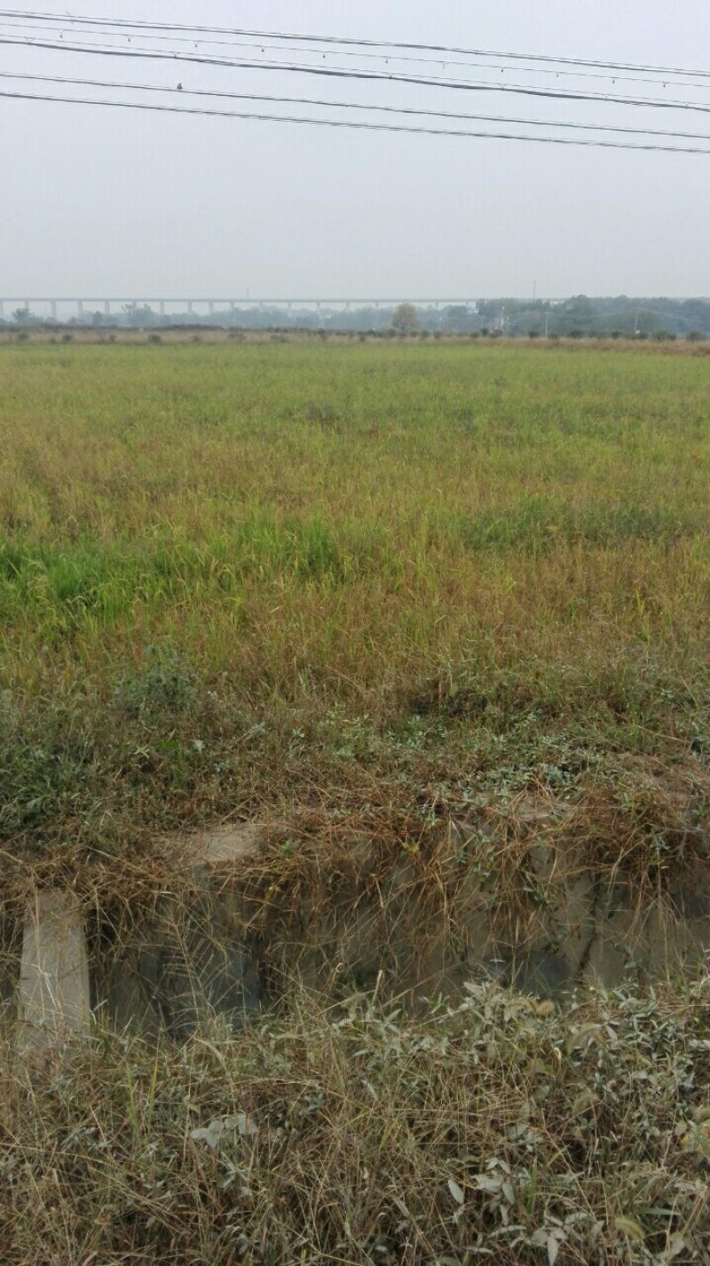 养殖种植用地