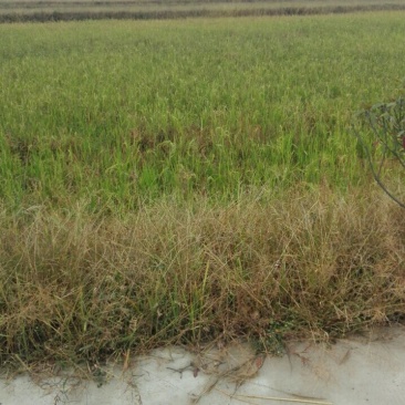 养殖种植用地