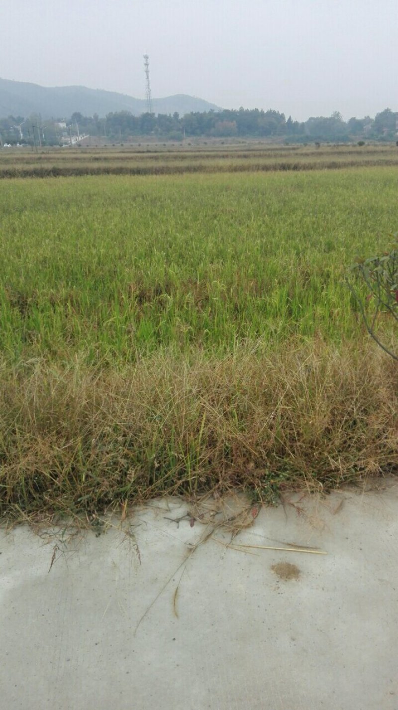 养殖种植用地