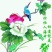 瓦松草