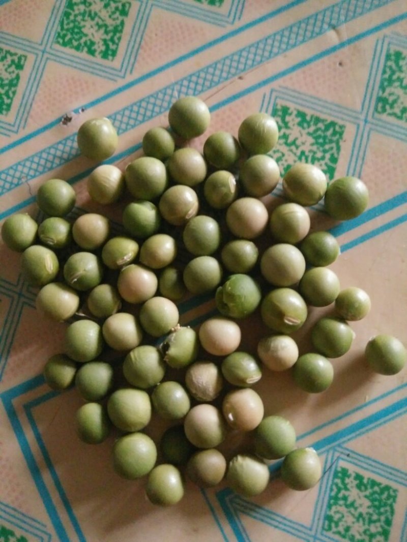有机杂粮