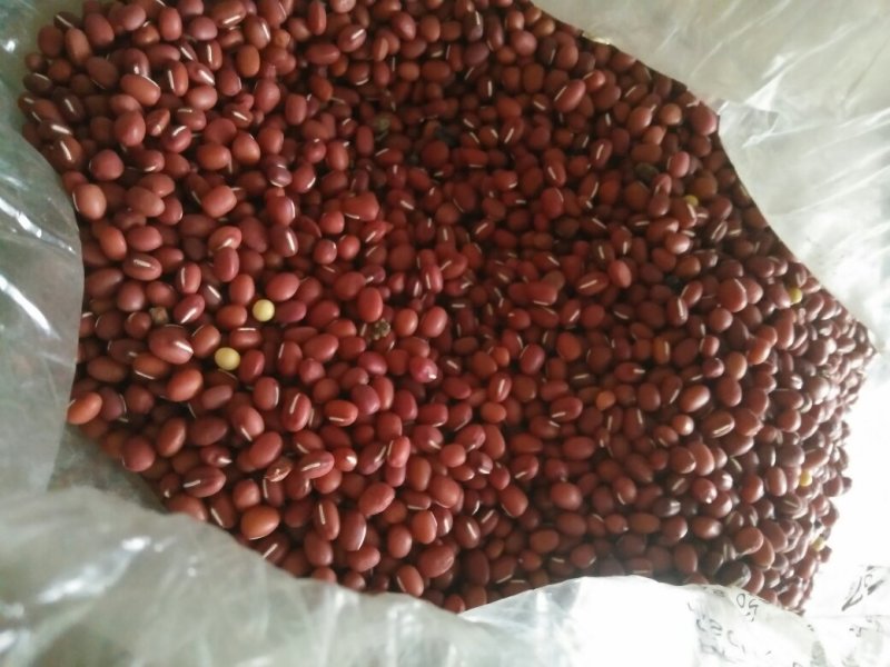 有机杂粮
