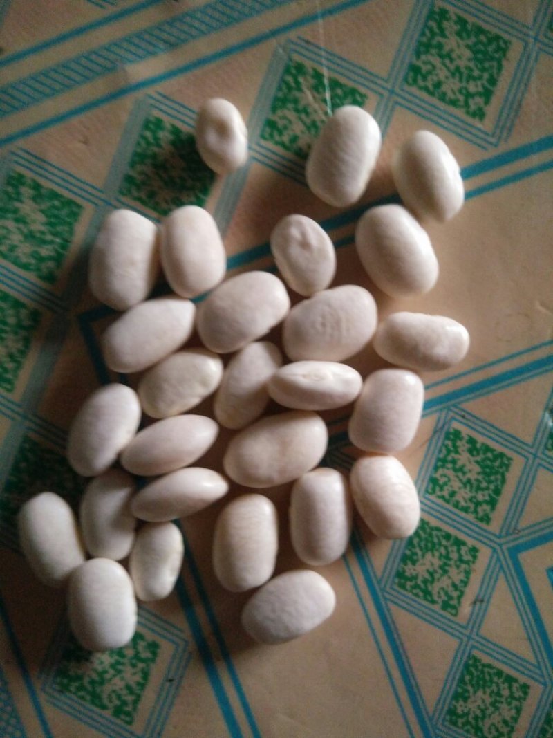 有机杂粮