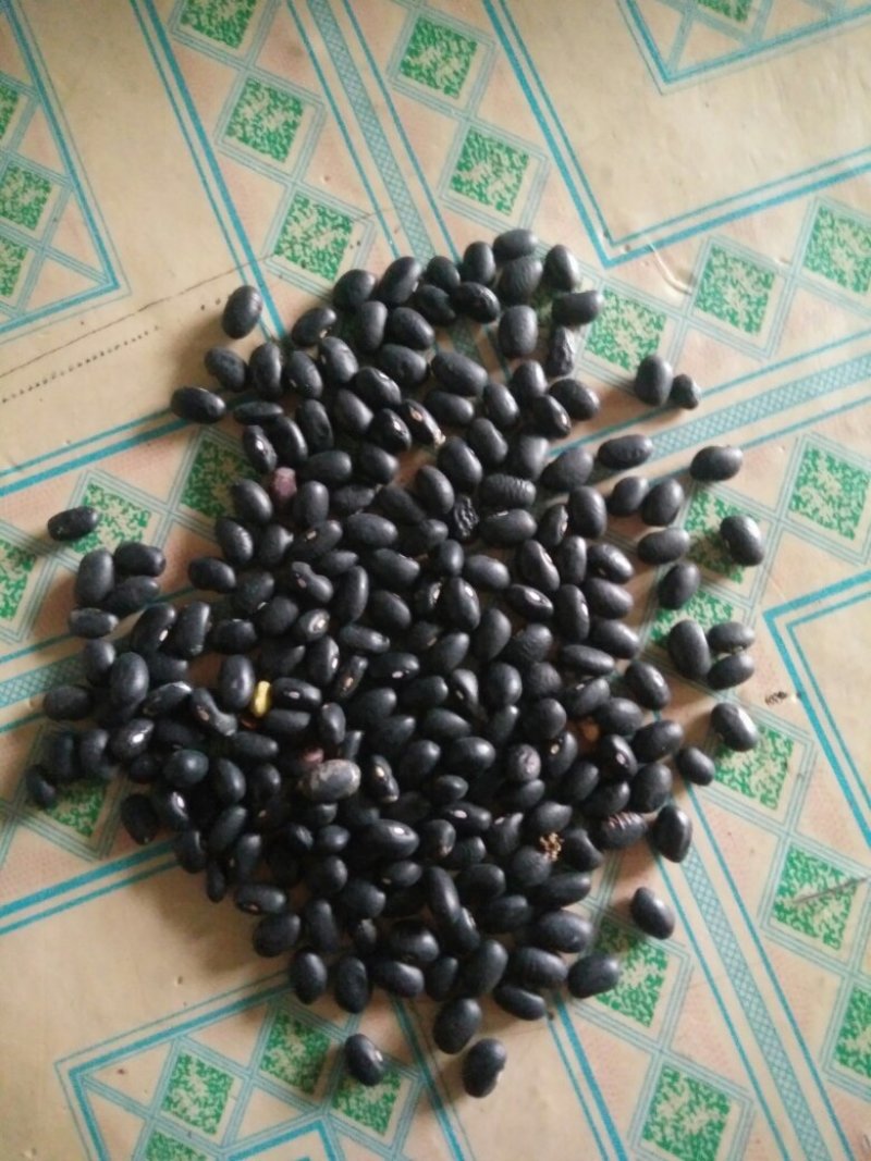 有机杂粮
