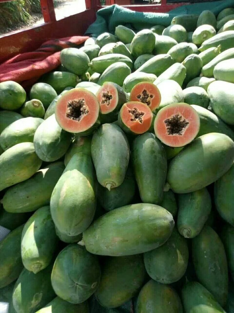 木瓜