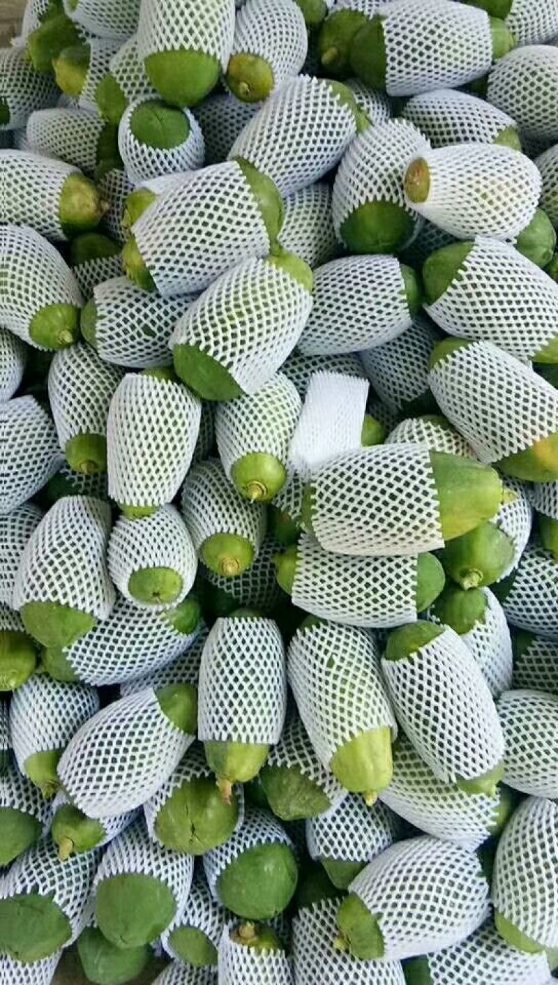 木瓜
