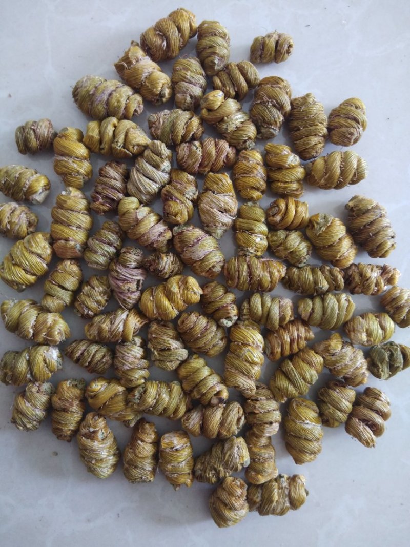 金福堂铁皮石斛枫斗新货品质量，肉质饱满，一手货源批发
