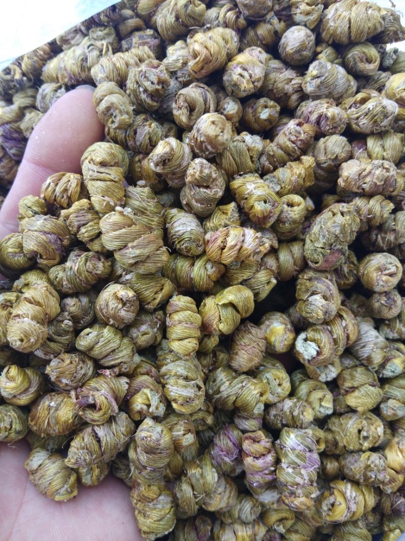 金福堂铁皮石斛枫斗新货品质量，肉质饱满，一手货源批发