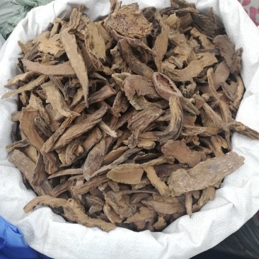 锁阳
