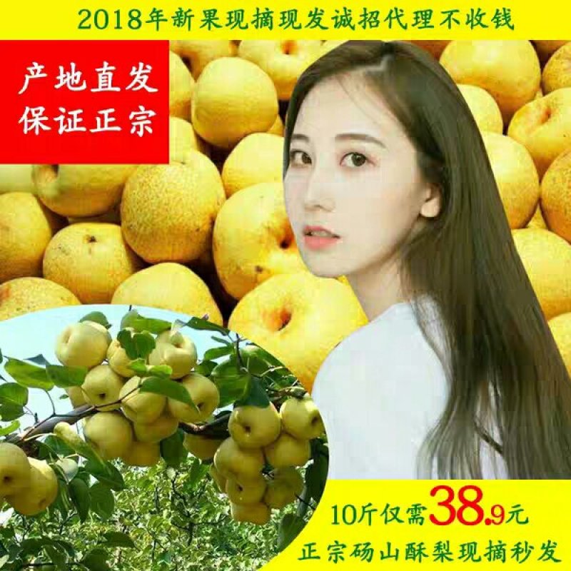 砀山酥梨可批发可零售零售有五斤十斤两种规格