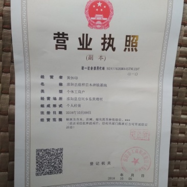 楸树